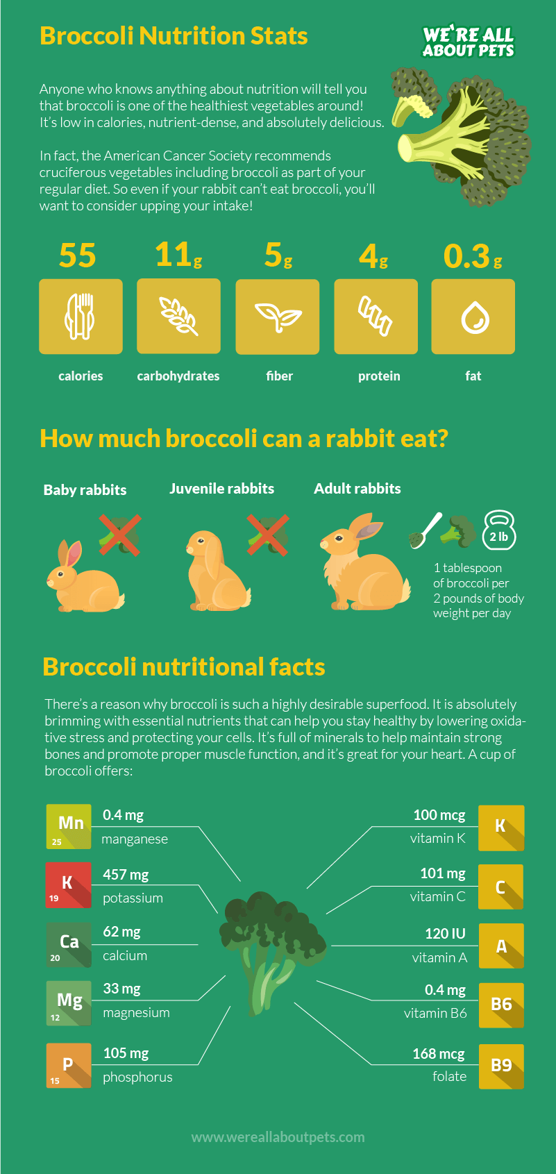What happens if rabbits eat broccoli?