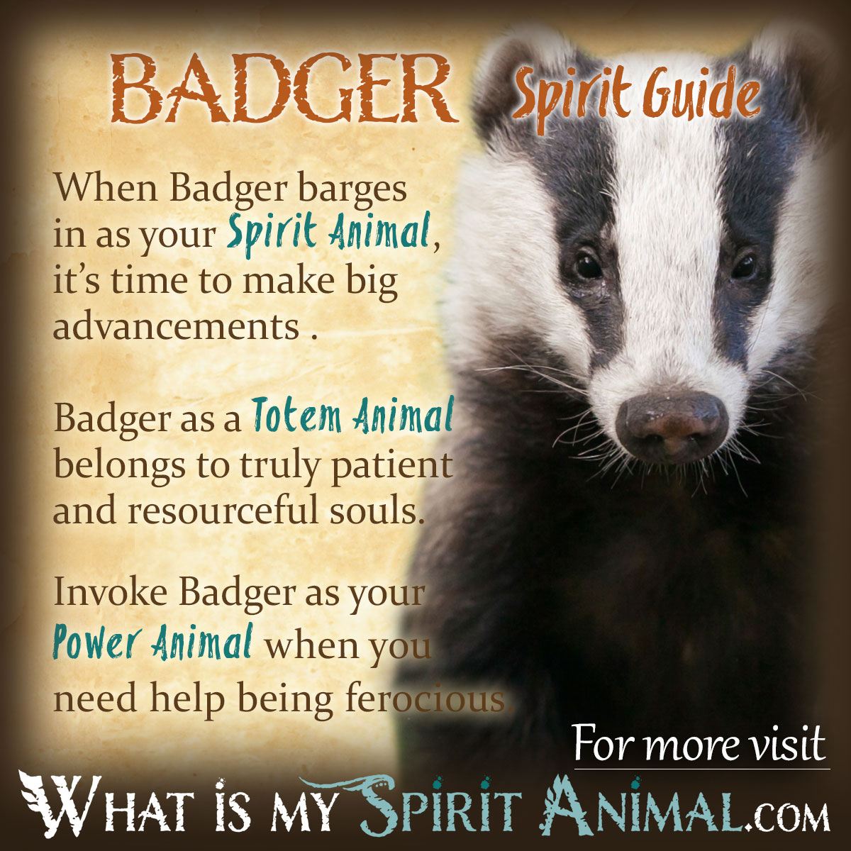 What is a badger symbolize?