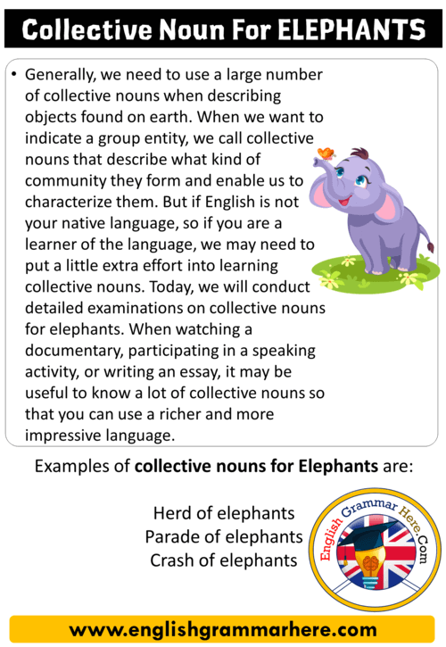 What is a collective noun of elephant?