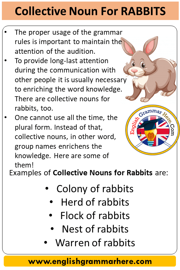 What is a collective of rabbits called?