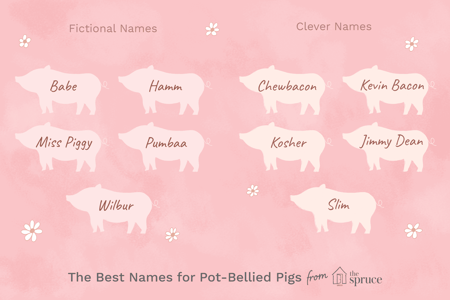 What is a cute name for a pet pig?