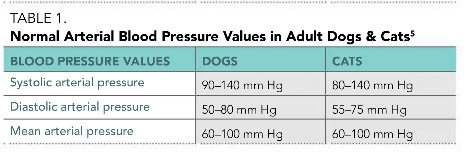 What is a good blood pressure for a dog?
