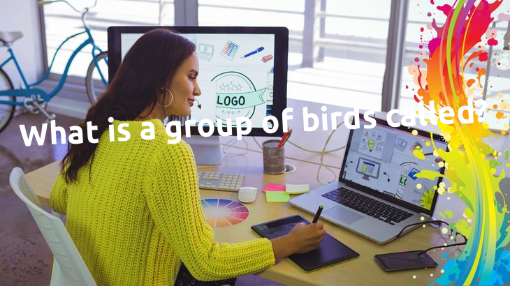 What is a group of birds called?
