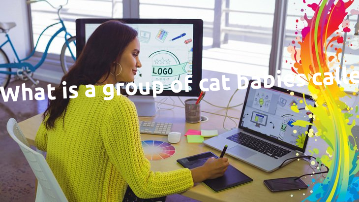 What is a group of cat babies called? What is a group of cat babies called?