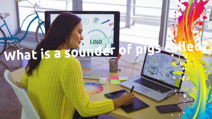 What is a sounder of pigs called?