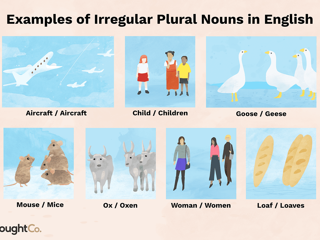 What is an irregular plural noun?