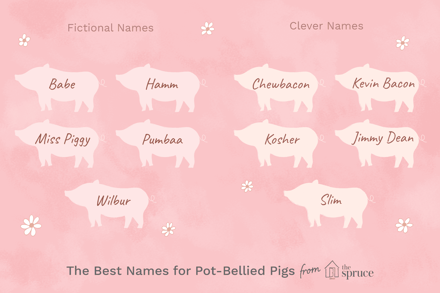 What is another name for a male pig?