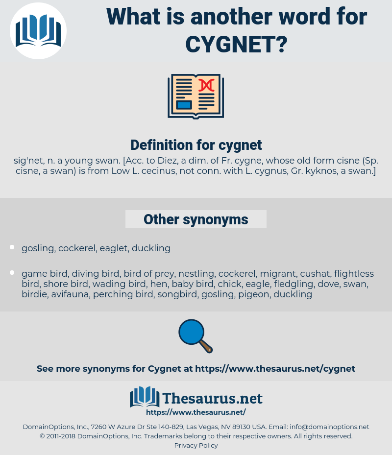 What is another word for Cygnet?