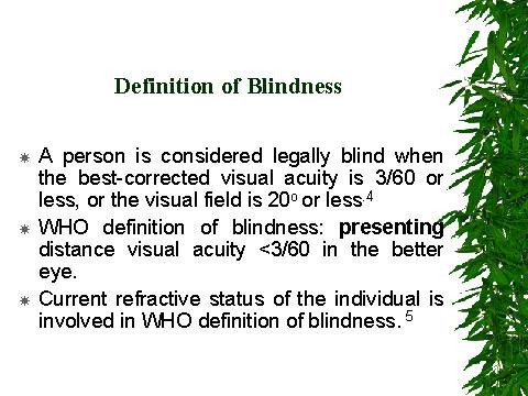 What is blindness definition?