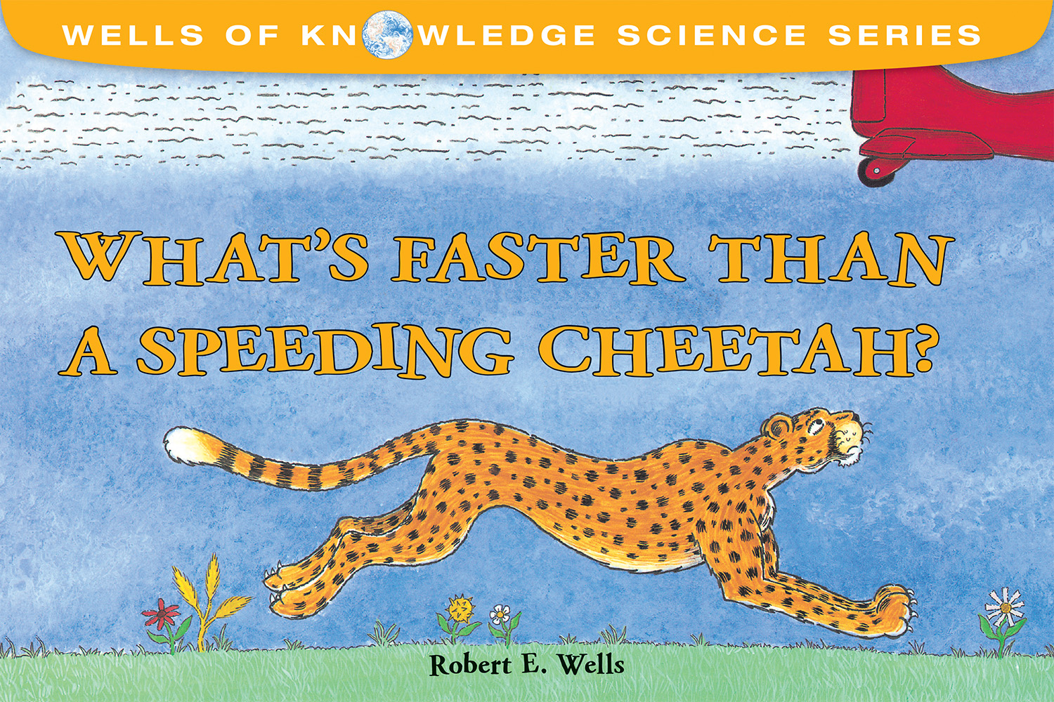 What is faster than a cheetah?
