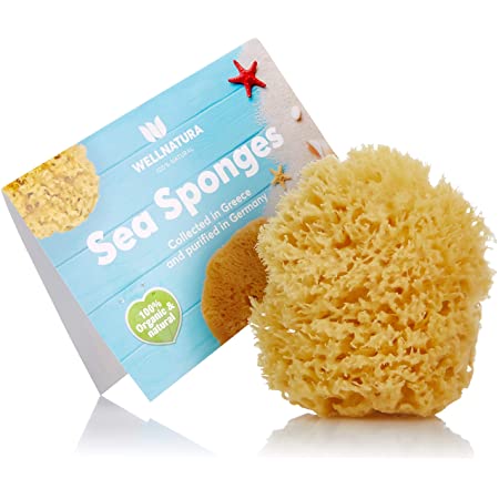 What is the best sea sponge?