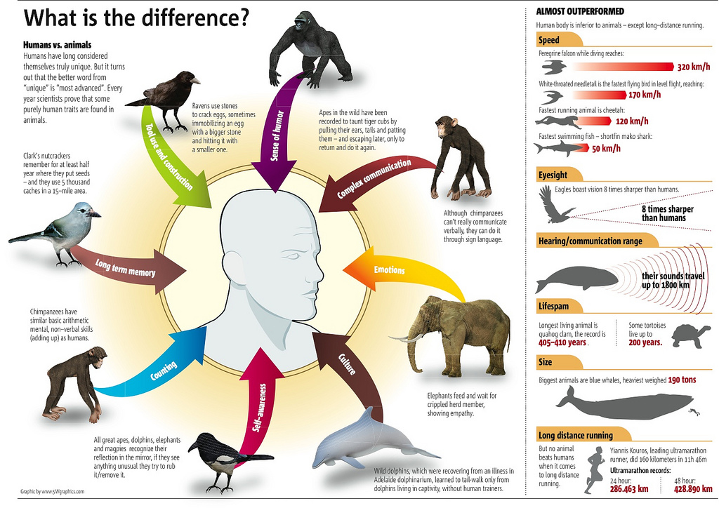 What is the biggest difference between humans and animals?