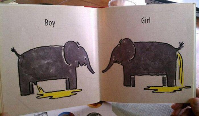 What is the difference between a male and female elephant called?
