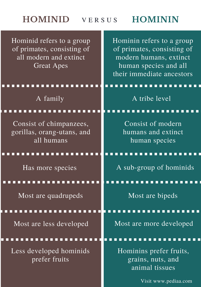 What is the difference between Hominid and hominin?