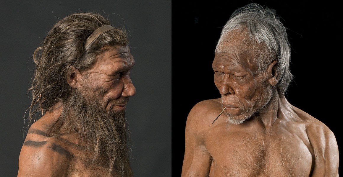 What is the difference between Homo sapiens and early humans?