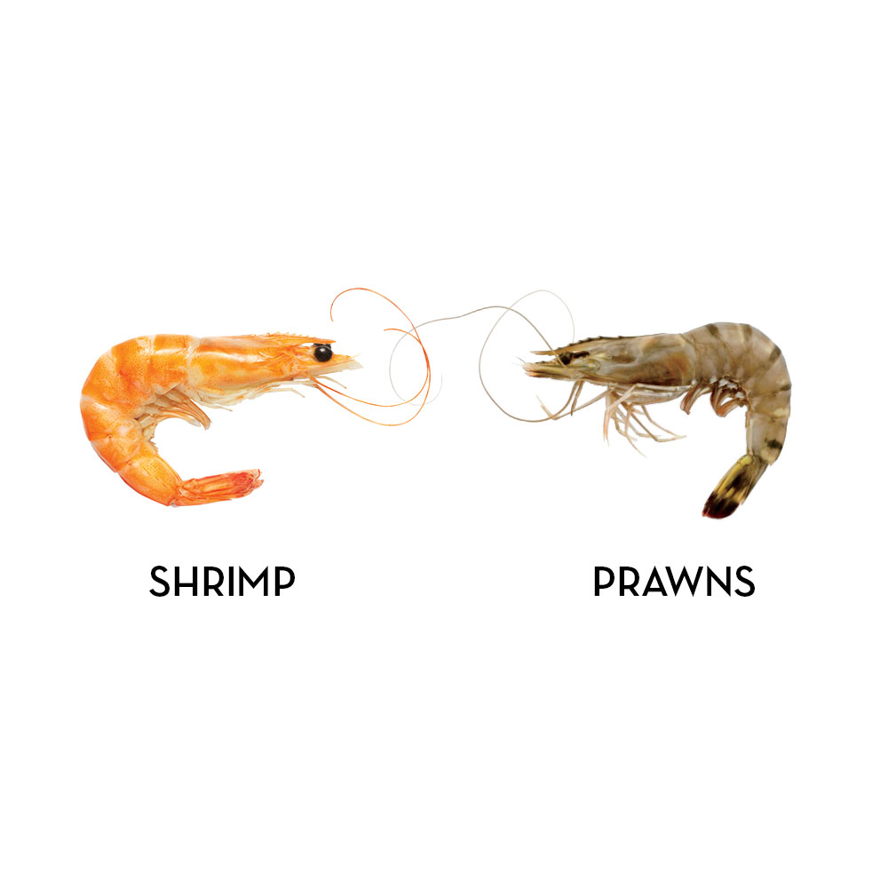 What is the difference between prawns and shrimp?