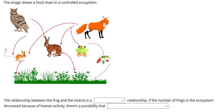 What is the ecological relationship of frog?