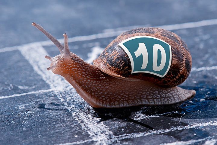 What is the fastest a snail can go?