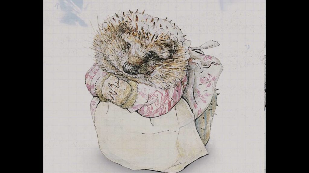 What is the history of the Hedgehog?
