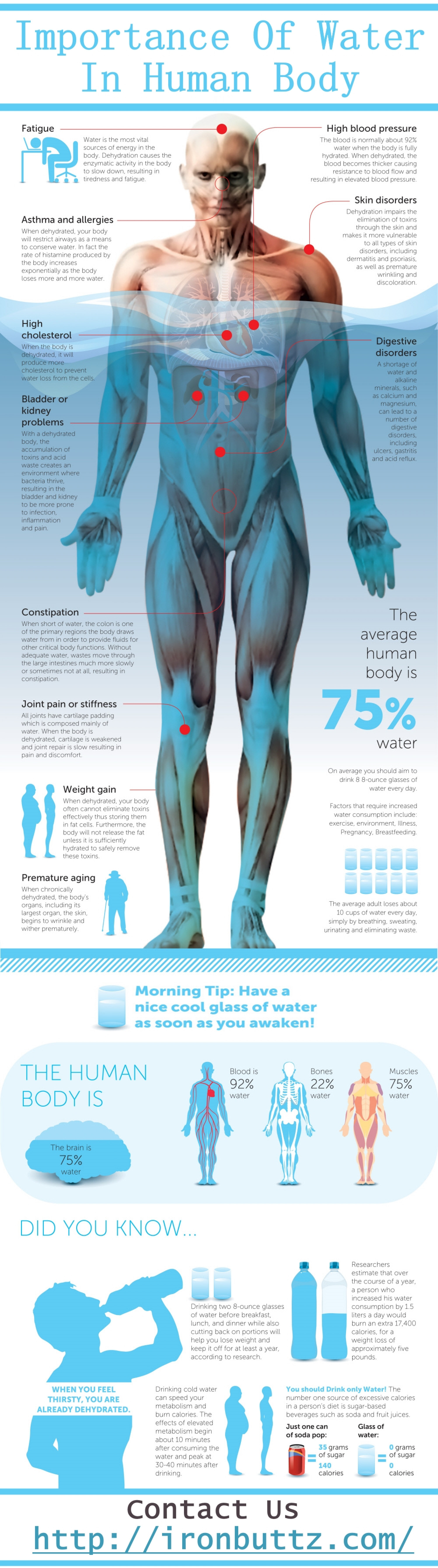 What is the importance of water in the human body?