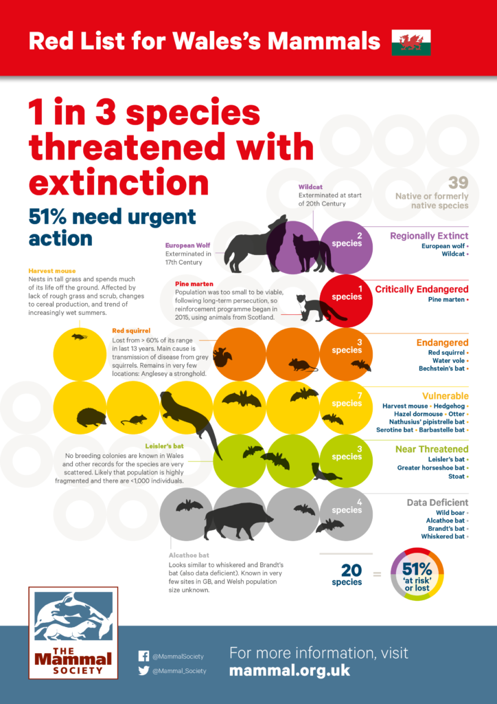 What is the IUCN Mammal Species List?