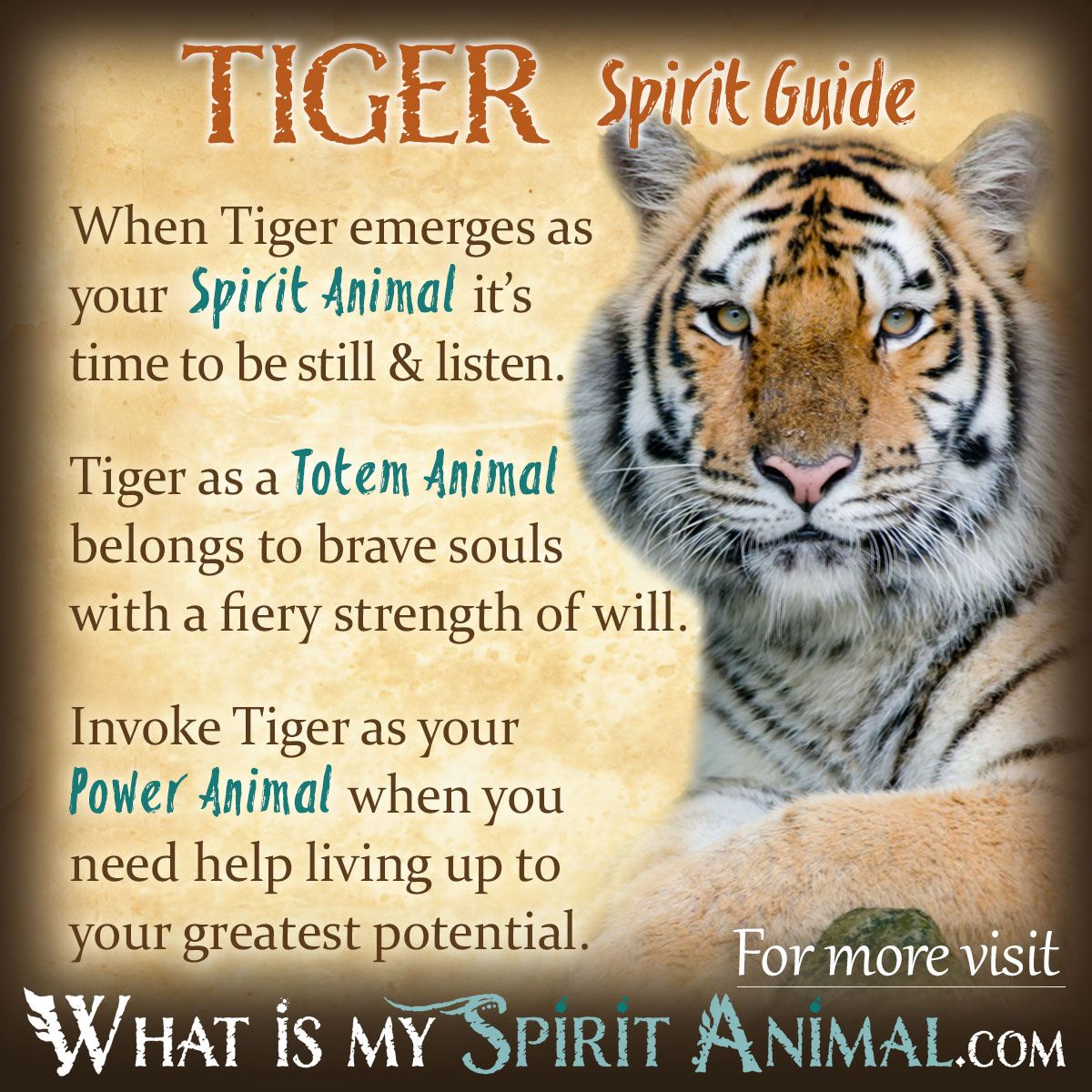 What is the literal meaning of tiger?
