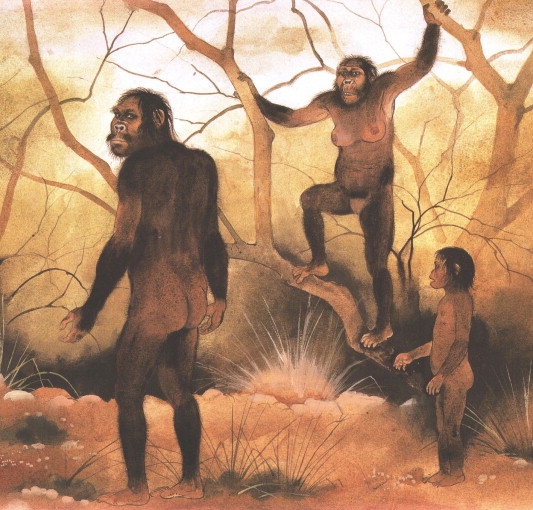 What is the meaning of hominids?