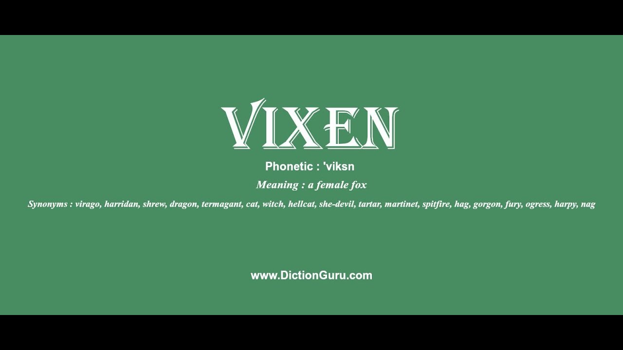 What is the meaning of the word vixen?