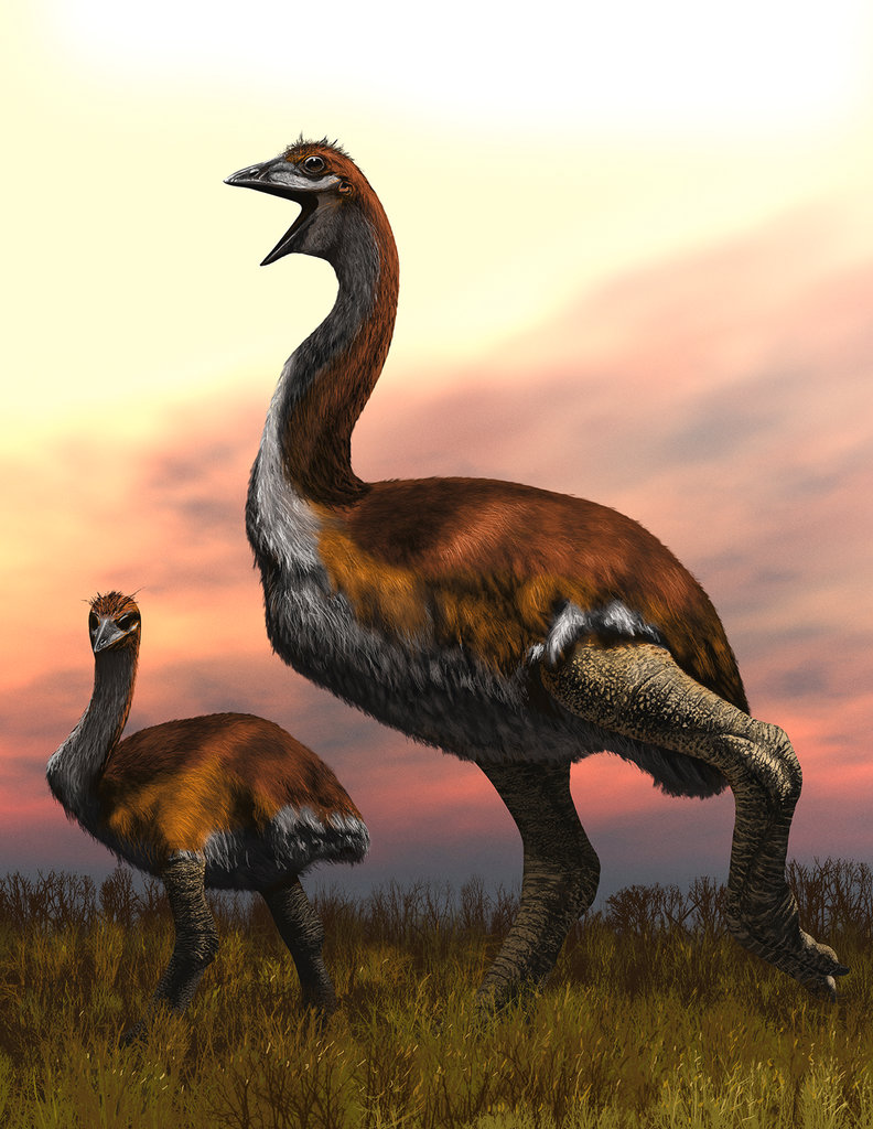 What is the next extinct bird in the world?