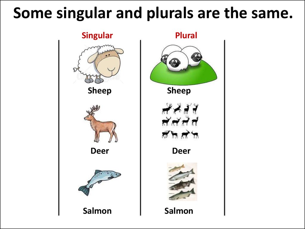 What is the noun for deer?