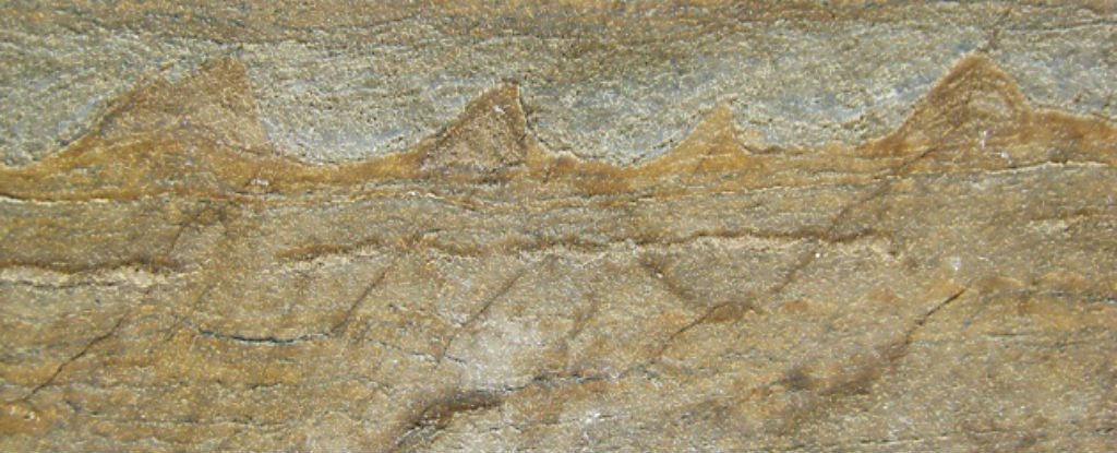 What is the oldest known fossil on Earth?