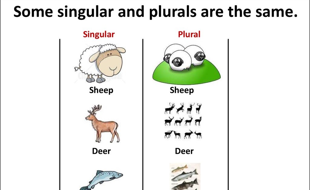 What is the plural of deers?
