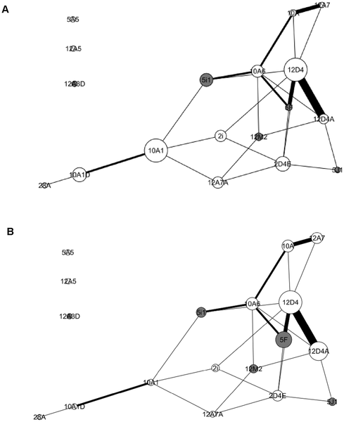 What is the social structure of a mandrill?