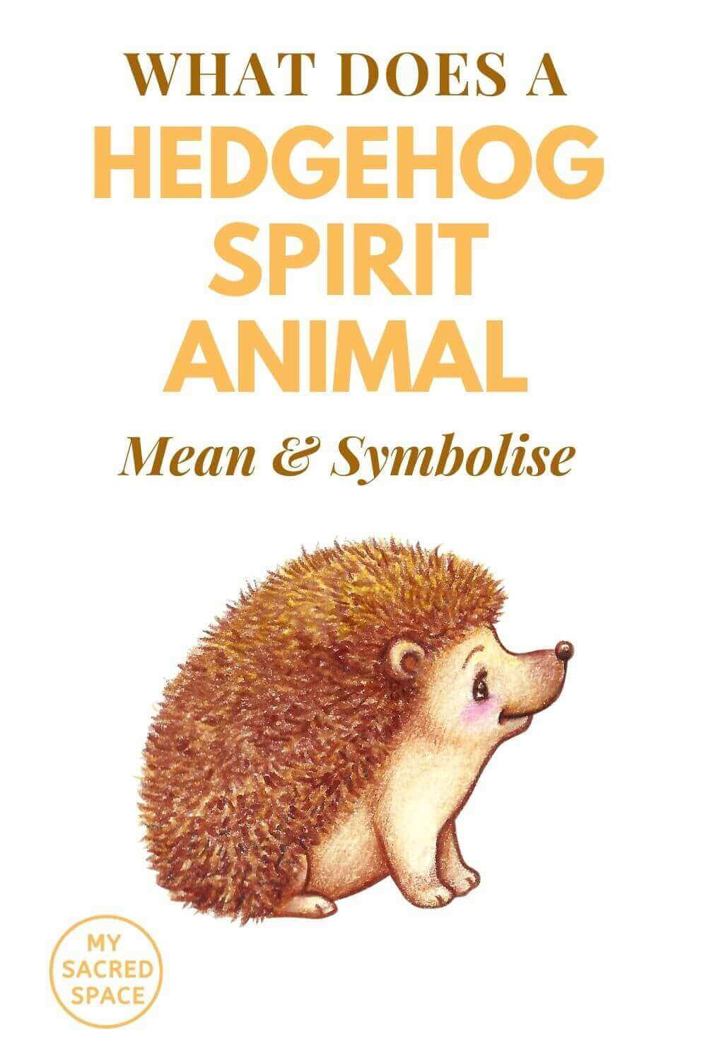 What is the spiritual meaning or essence of hedgehog?