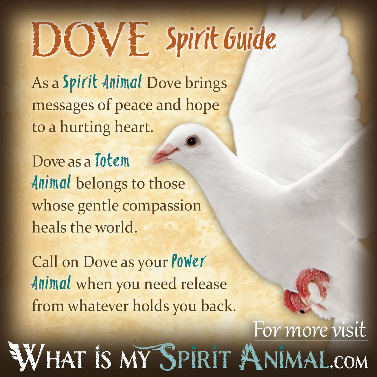 What is the symbolic meaning of a dove?