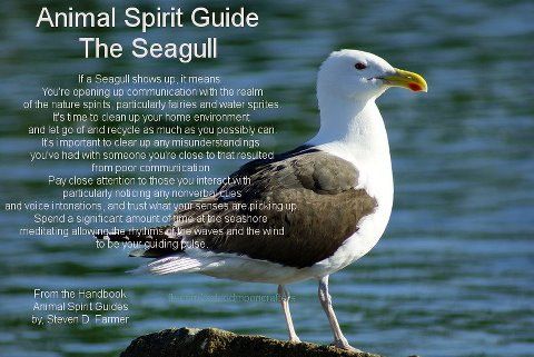 What is the symbolism of the seagull?