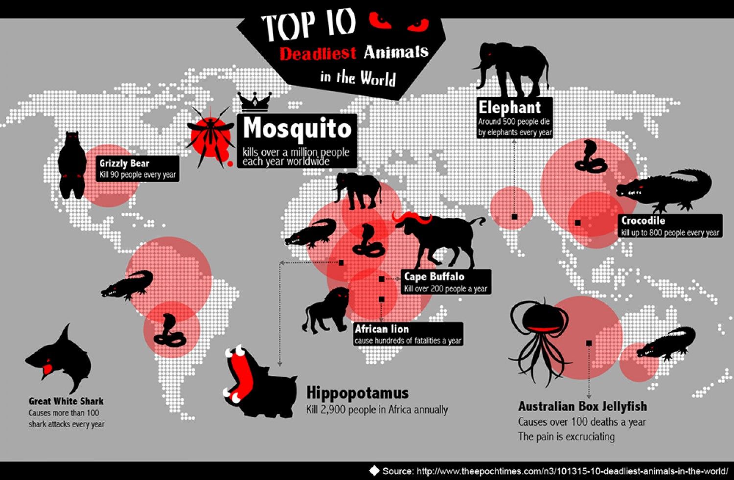 What is the top 10 deadliest animal in the world?