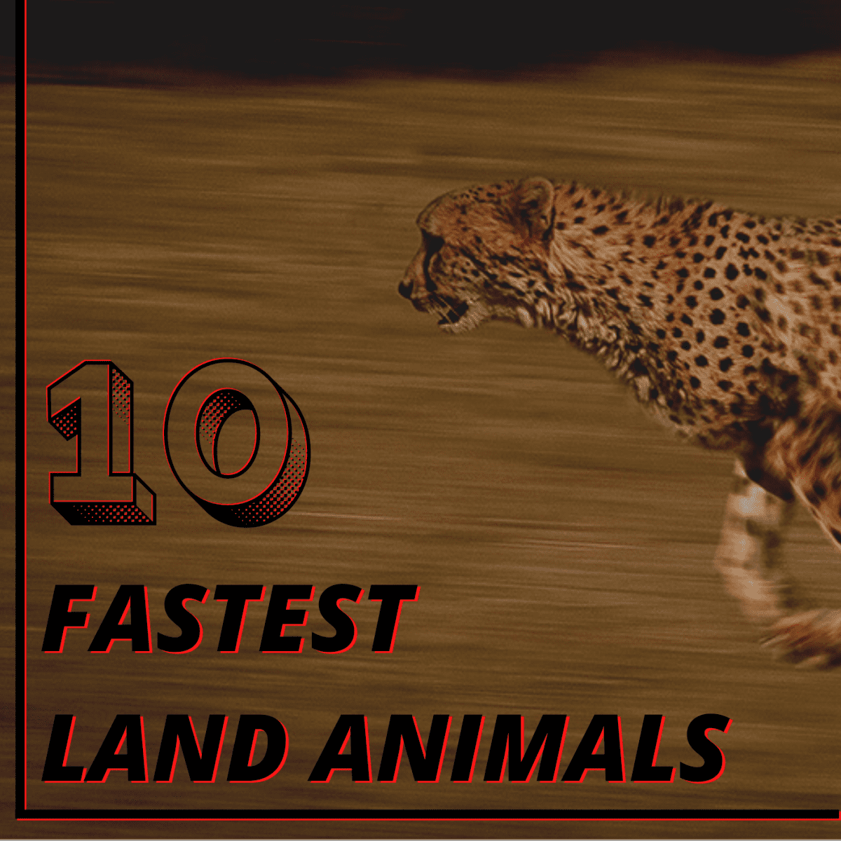 What is the top 10 fastest animal on land?