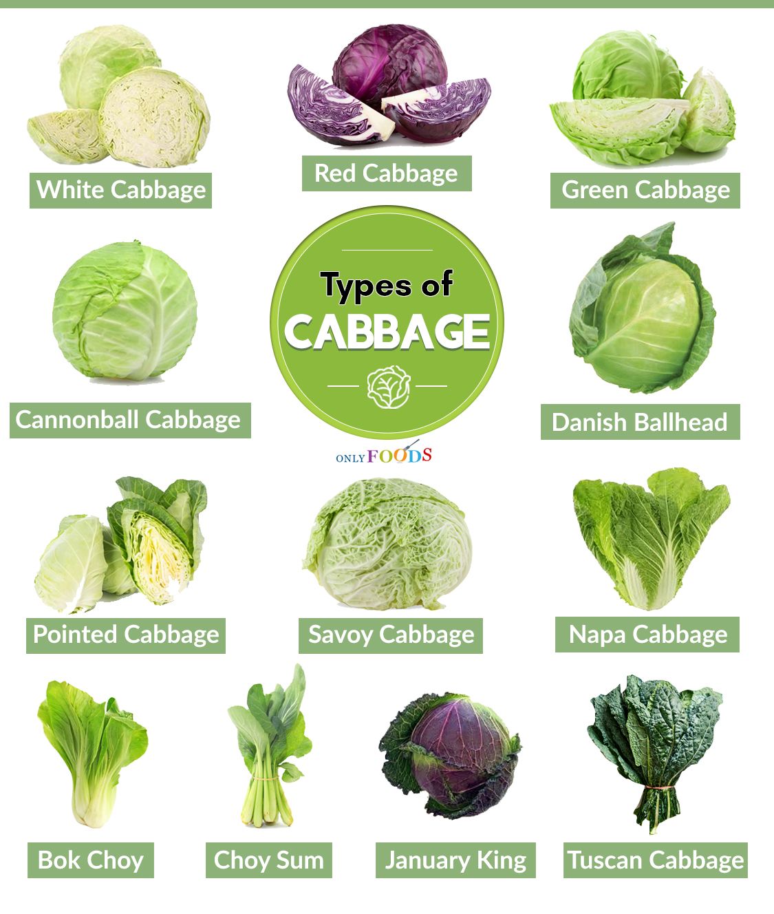 What kind of cabbage is green with green leaves?