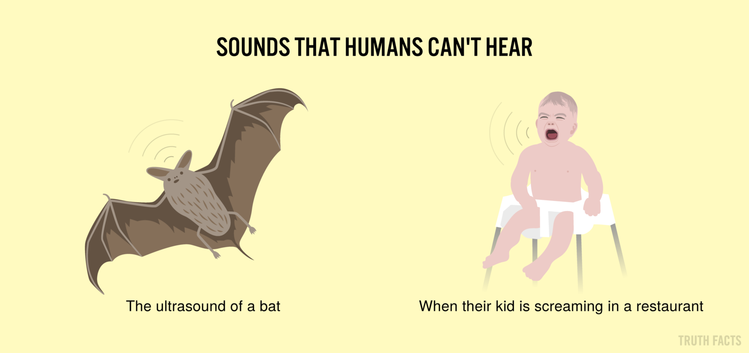 What sounds that human Cannot hear?