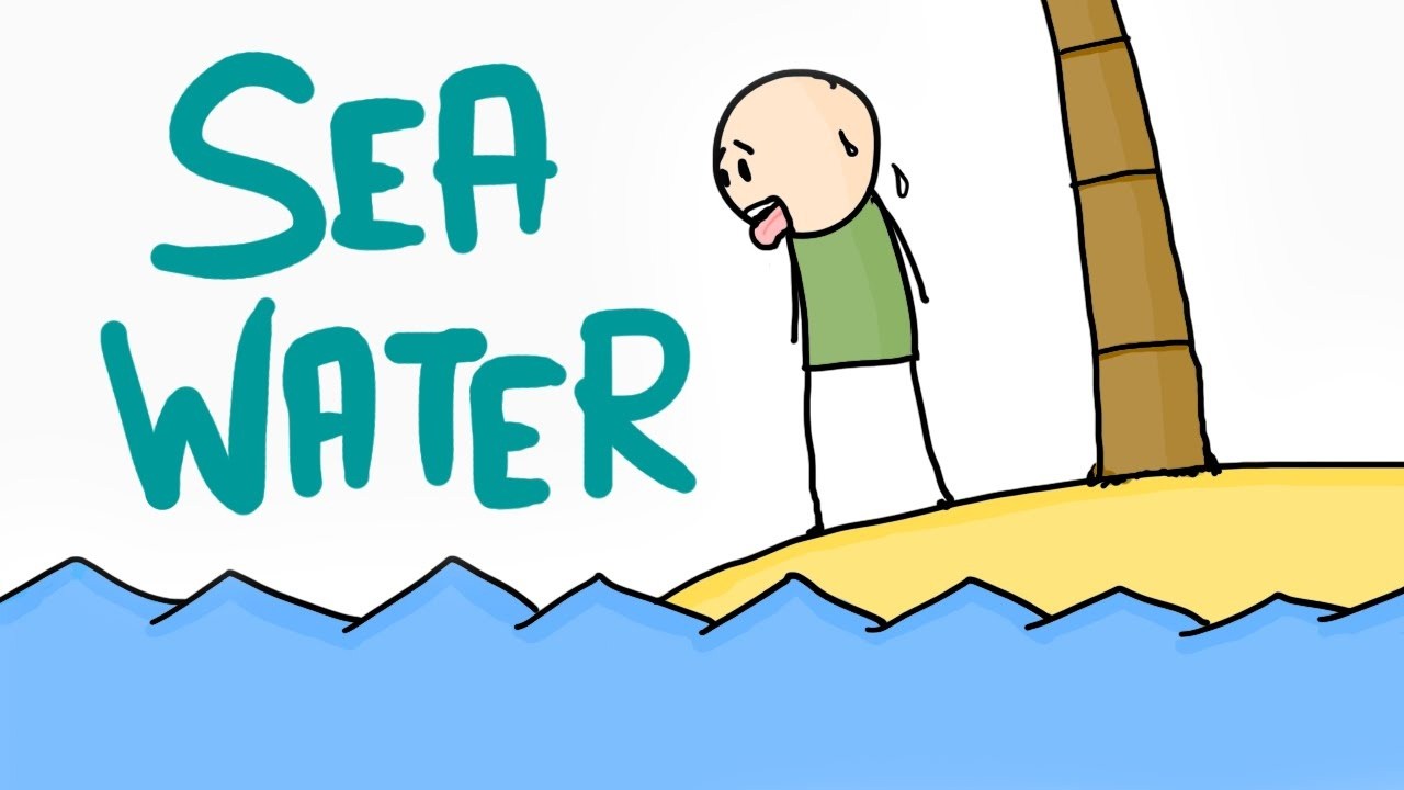 What would happen if an animal tried to drink seawater?