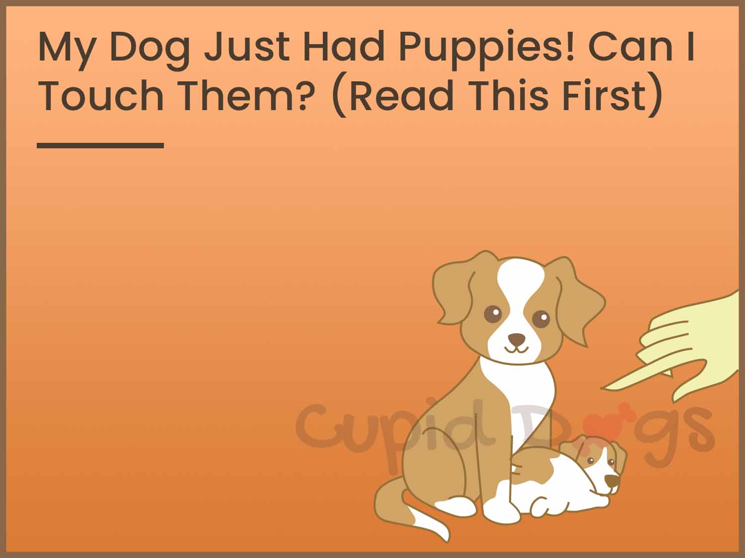 When a dog gives birth can you touch the puppies? [2022] 🐬 Animalia