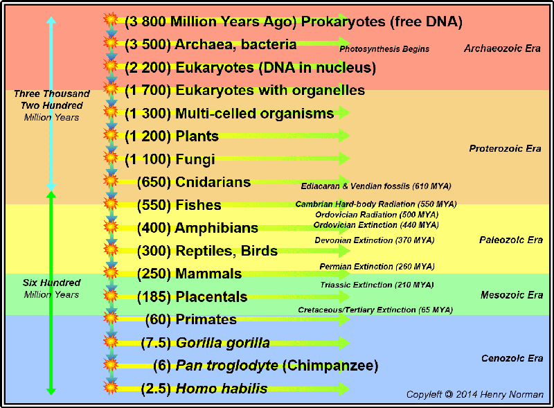 When did mammals first appear on Earth?