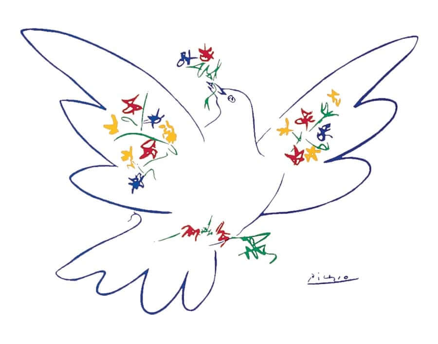When did Picasso draw the dove of peace?