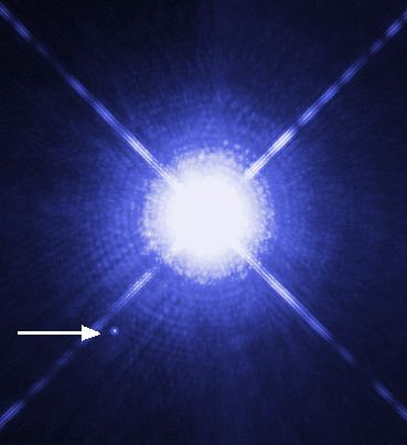 When was the first white dwarf discovered?