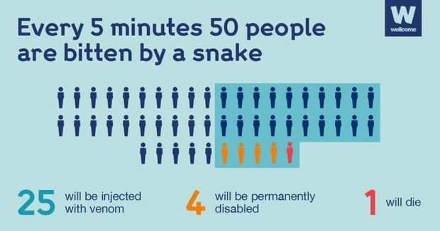 Where can I get snakebite advice in the UK?