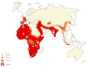 Where did Homo erectus Live 3 million years ago?