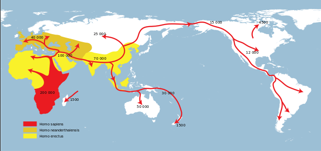 Where did most hominids evolved in the world?