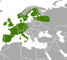 Where do hedgehogs live in Europe?