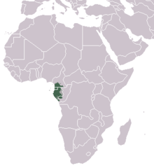 Where do mandrills live in Africa?